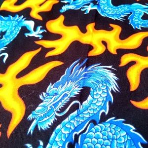 HUG THOSE CURVES! PRETTY Orange flames & Dragons